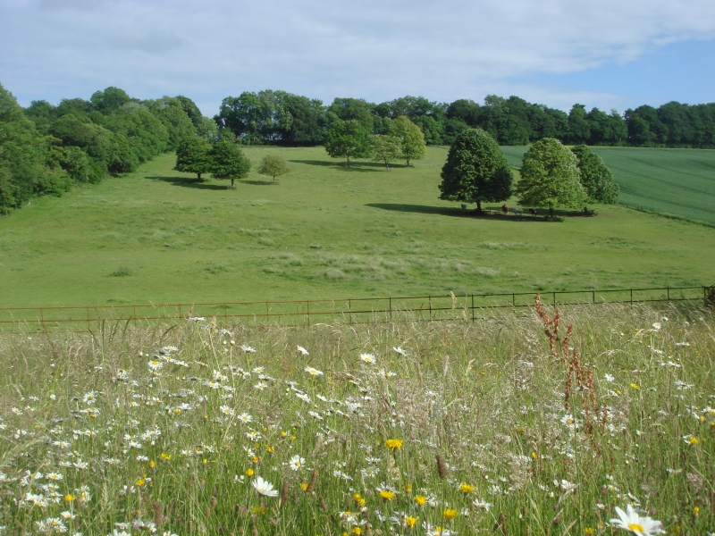 Clover Farm